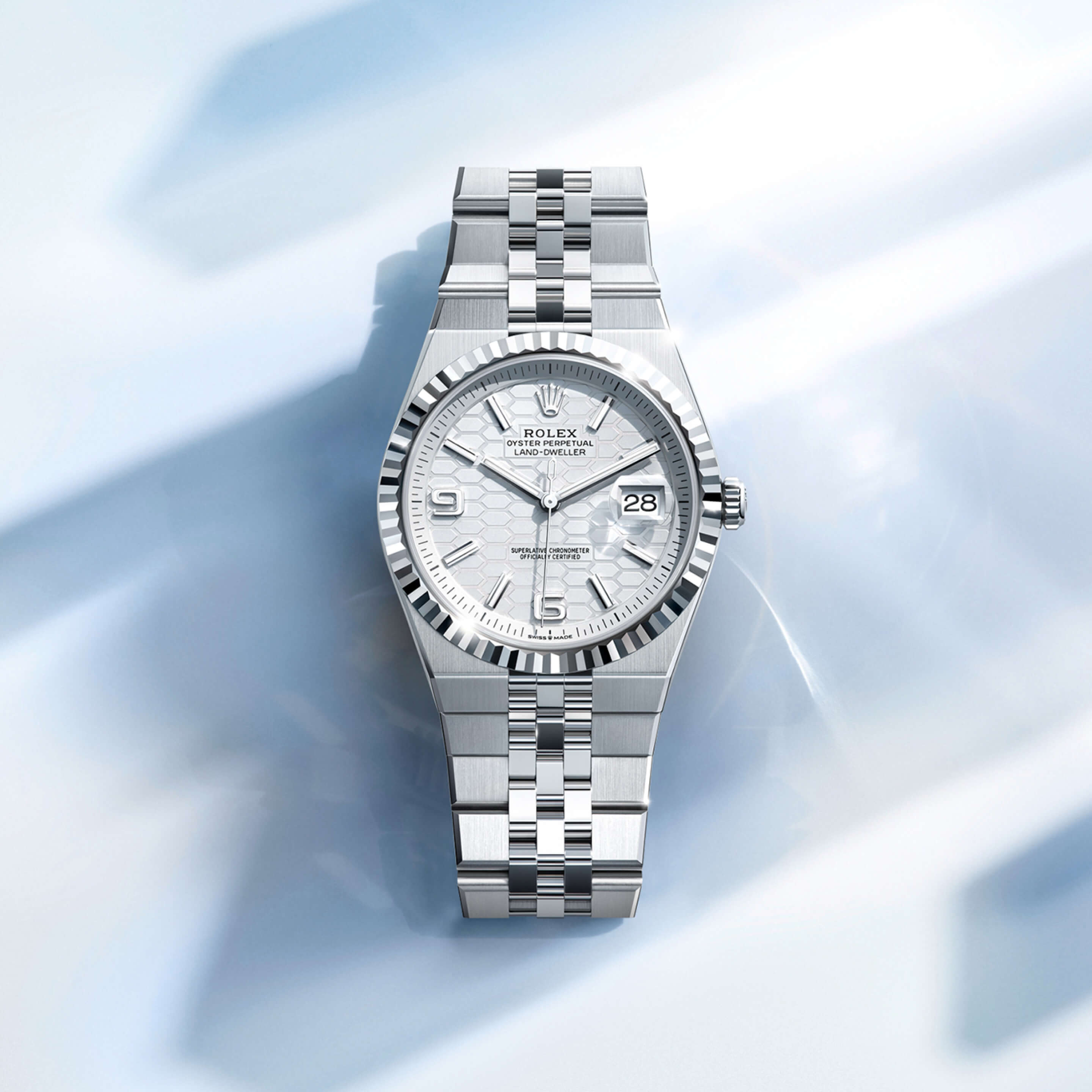 Rolex Land-Dweller 36 Platina, M127286TBR-0001 | Frattina